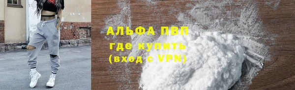 PSILOCYBIN Осташков