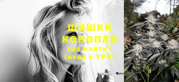 PSILOCYBIN Осташков