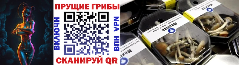 Галлюциногенные грибы Psilocybe  Мосальск 